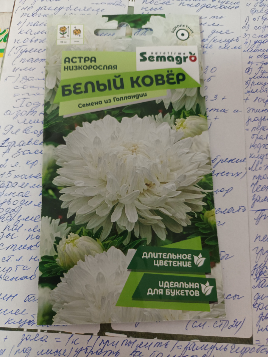 Обожаю белые цветы, вчера не удержалась, купила