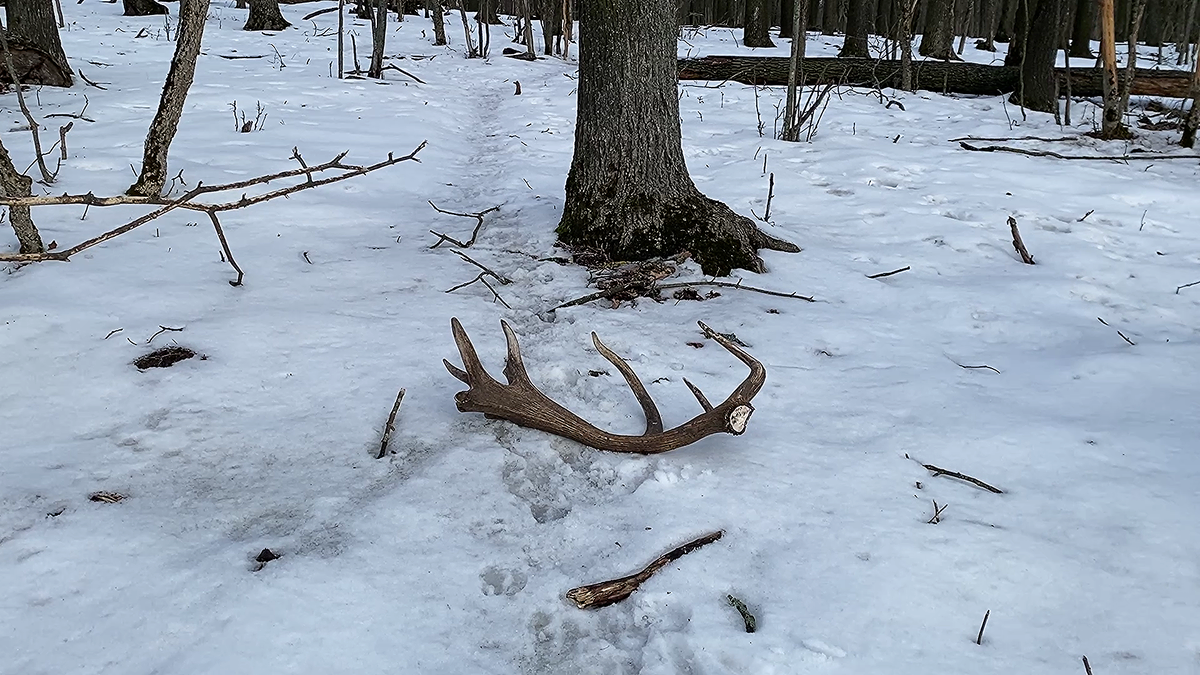 Первый трофей 2026 года
