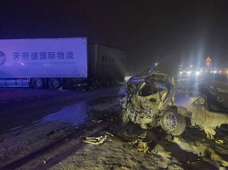     Фото: МВД Красноярского края