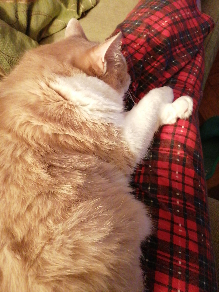 На ручки залезла