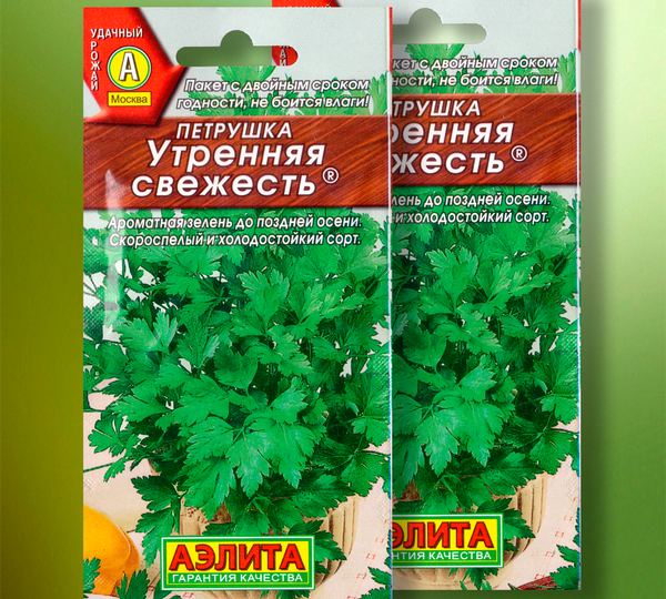 Петрушка «Утренняя свежесть» от «Аэлиты»: Моя зелёная аптечка, которая растёт до самой осени