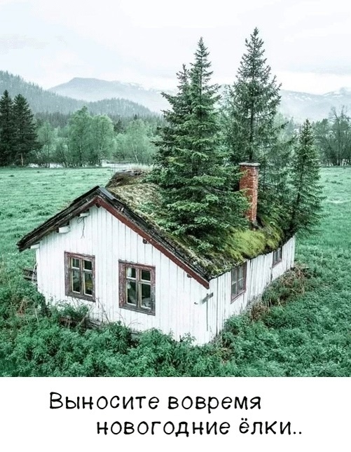 Смех из социальных сетей! Забавные шутки, забавные случаи и веселые рассказы. Фото взято из общедоступных ресурсов соцсетей