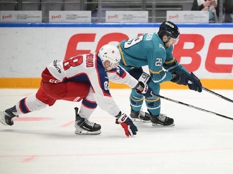     фото: hcsochi.ru