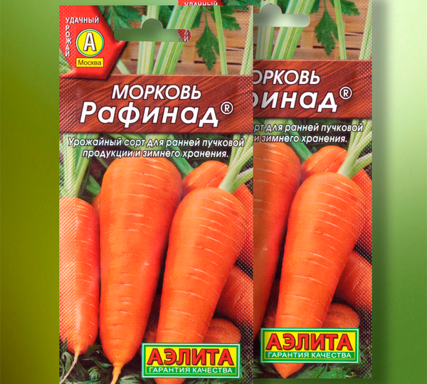 Морковь «Рафинад» от «Аэлиты»: Моя сладкая королева, которая хранится до следующего лета
