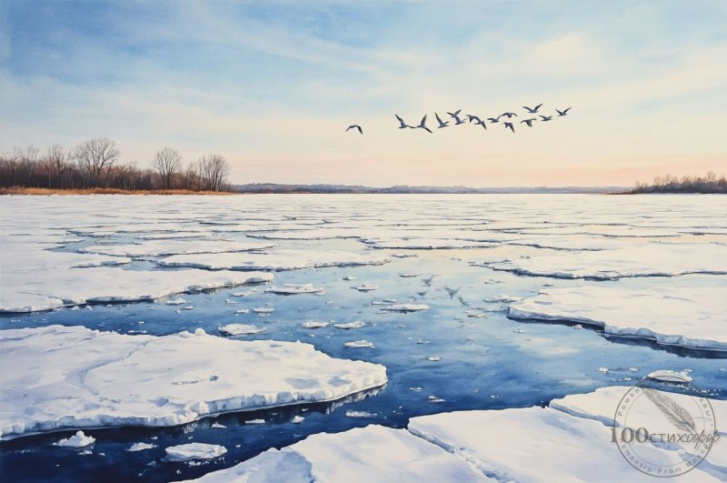 весенние птицы