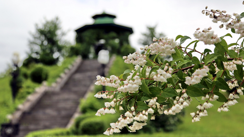 Кавказские Минеральные Воды. Железноводск © Валерий Шилов 