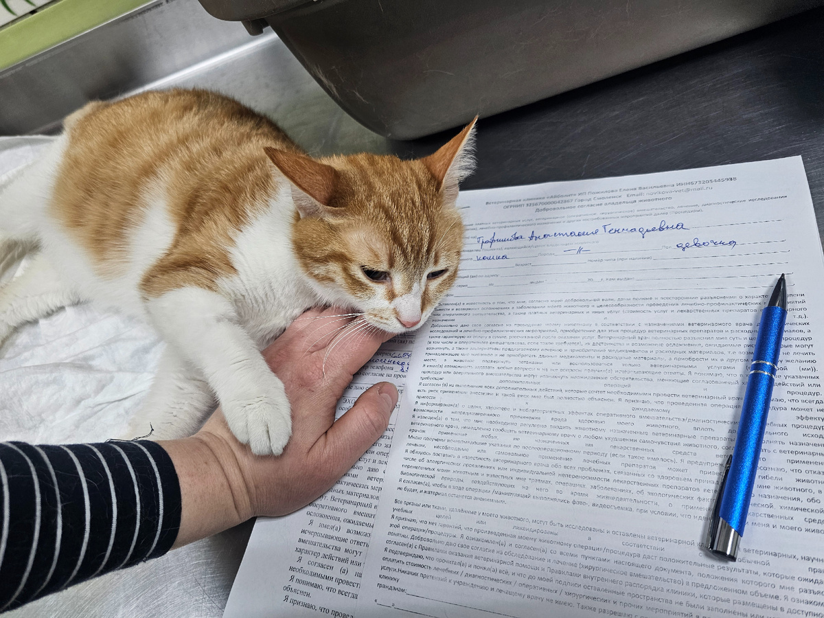 Фото автора. Пишу согласие на операцию.