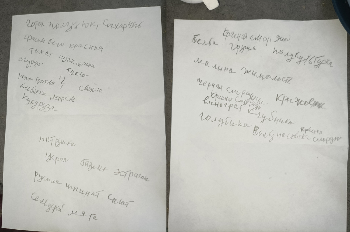 Мамины записи