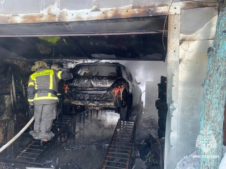     Фото: ГУ МЧС по Тульской области