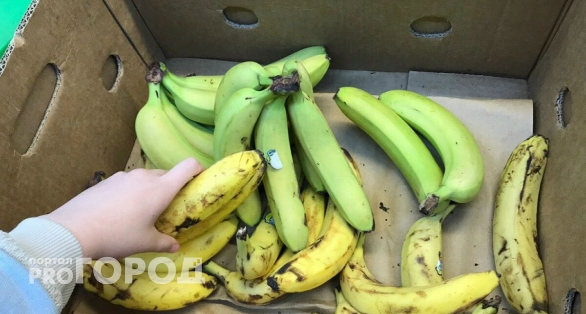    Из архива "Про Город"