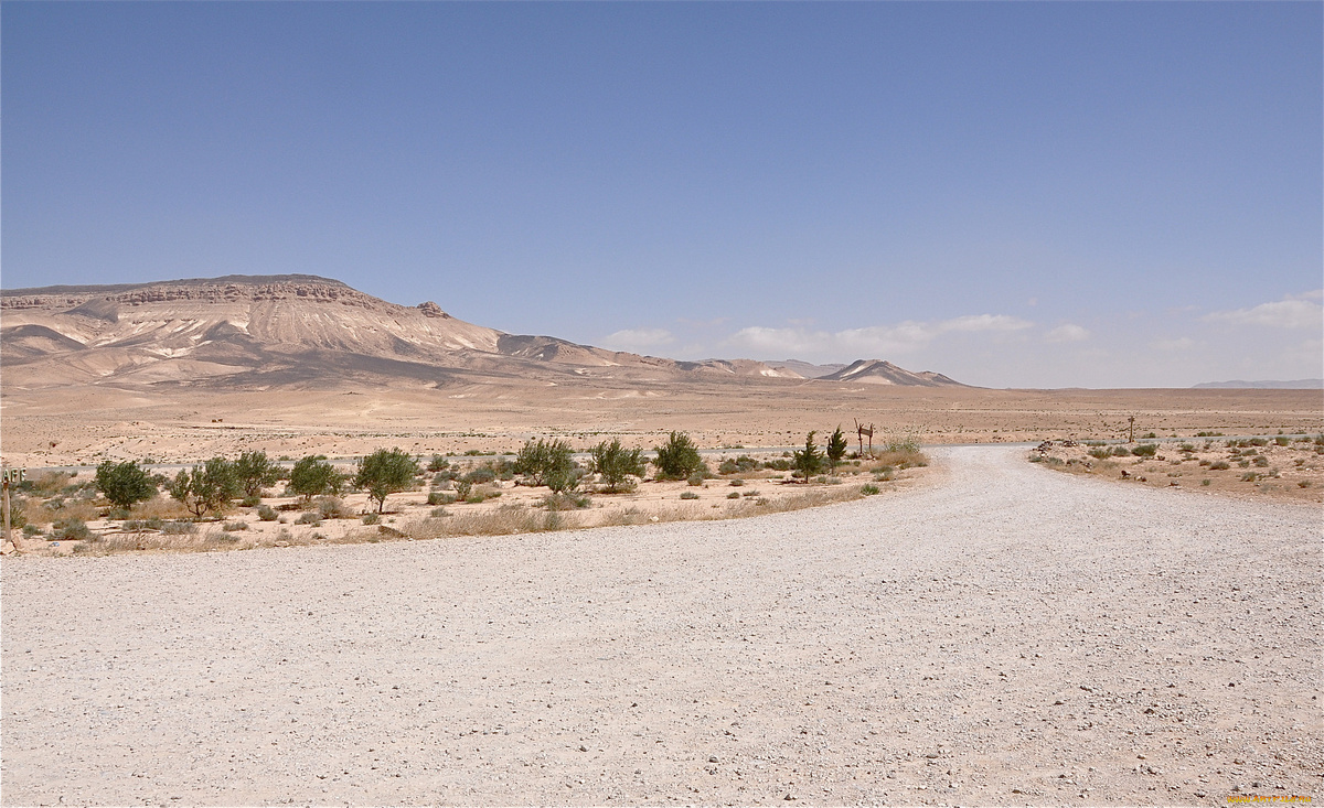 Сирийская пустыня. Источник: https://www.flickr.com/photos/47574723@N03/14980111980