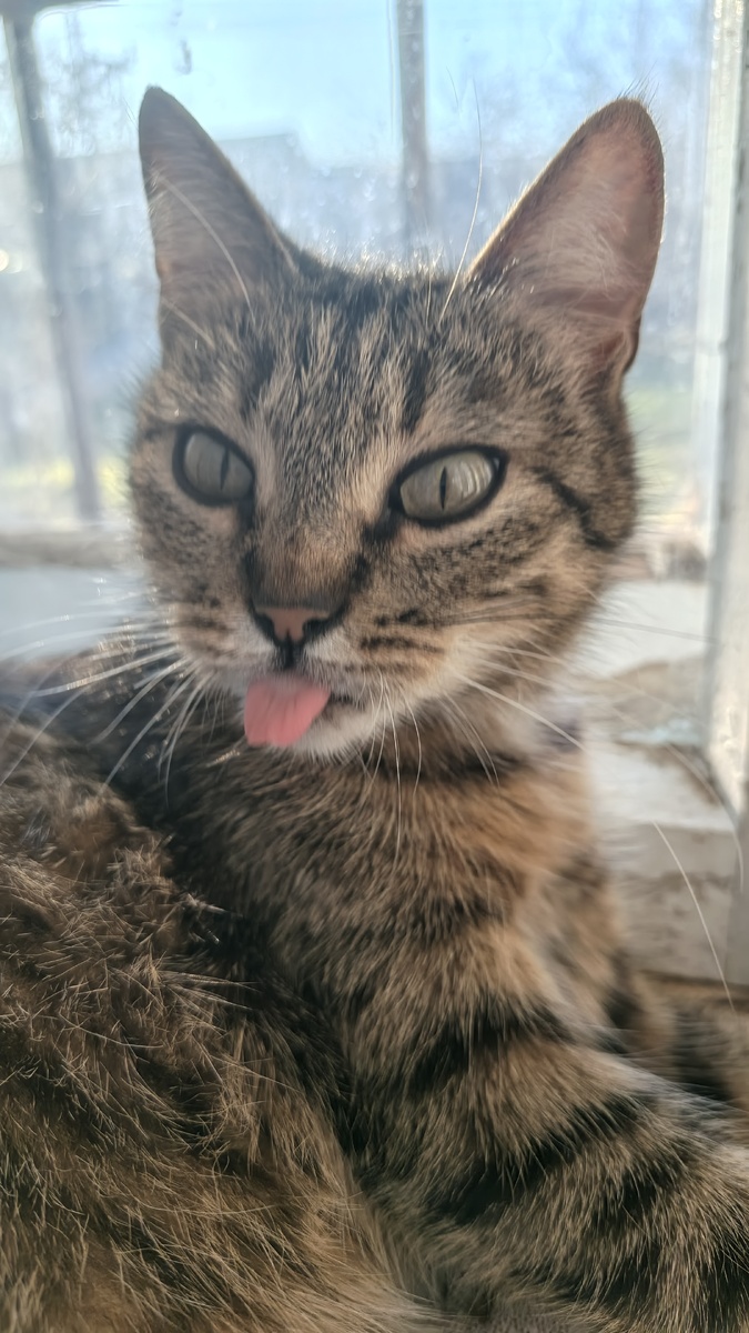 Фотозаметка №65... Моя реакция на проблемы (свой вариант можете написать в комментариях)