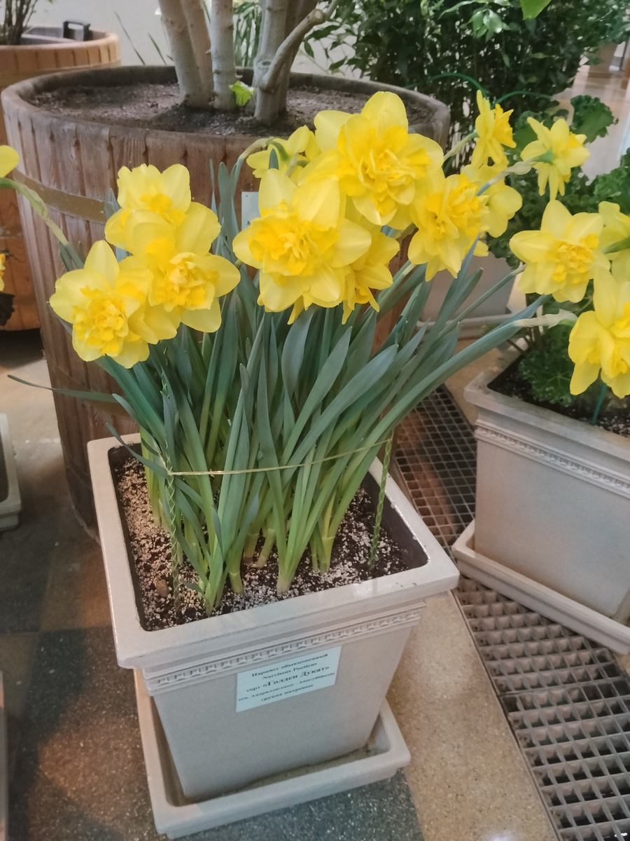 Фото  автора