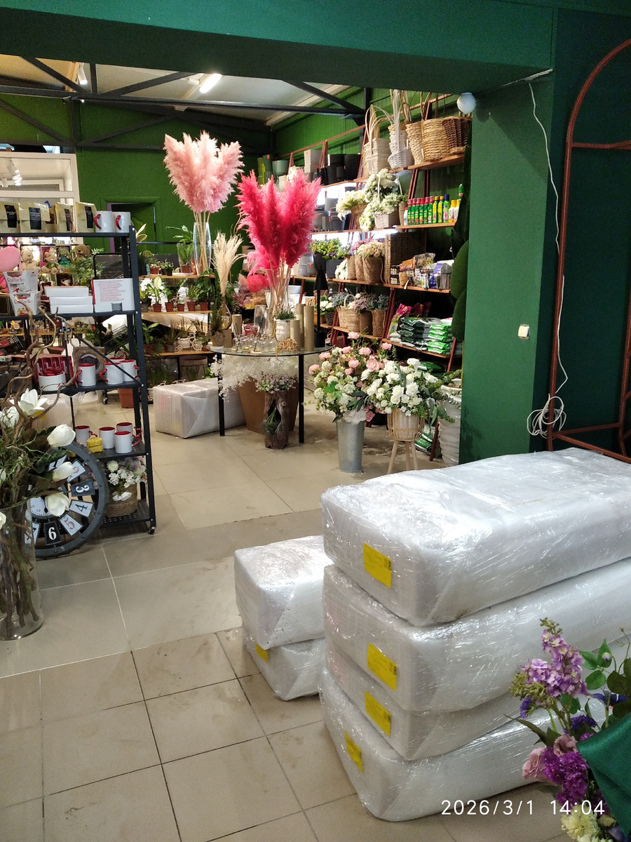 Все фотографии в статье мои