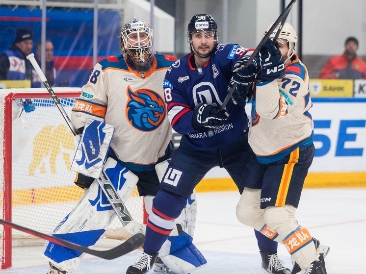     Фото: Андрей Холмов/ХК «Лада»