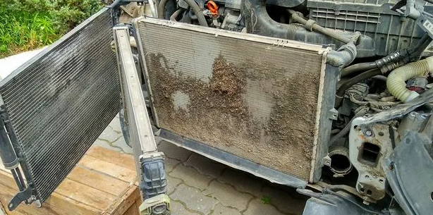 Дилер попросил 15 тысяч за сетку радиатора: объясняю, почему эту копеечную деталь умышленно не ставят на конвейере