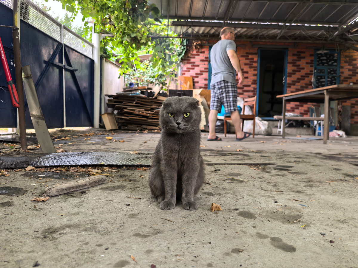 Вот такой он был летом