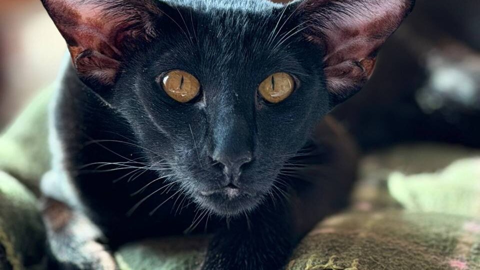 Весна время пробуждения… или проверки на прочность