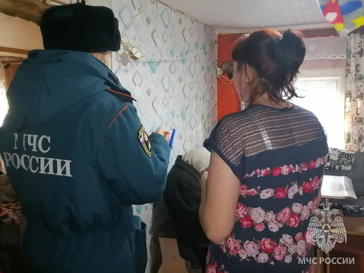     Специалисты напомнили взрослым и детям о правилах пожарной безопасности. Фото: пресс-служба МЧС по Новгородской области