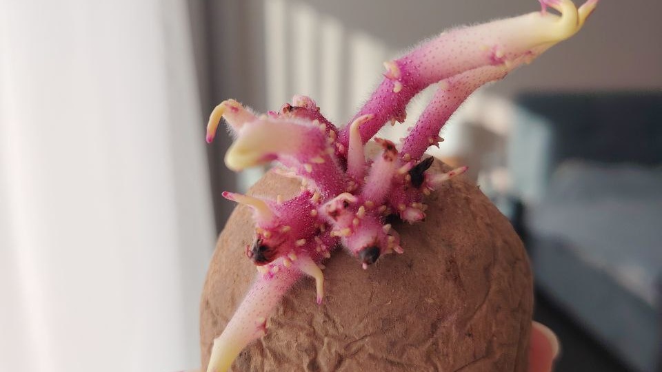 🌞С началом весны, товарищи