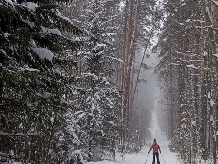 На прогулке. Мои наблюдения за лыжниками