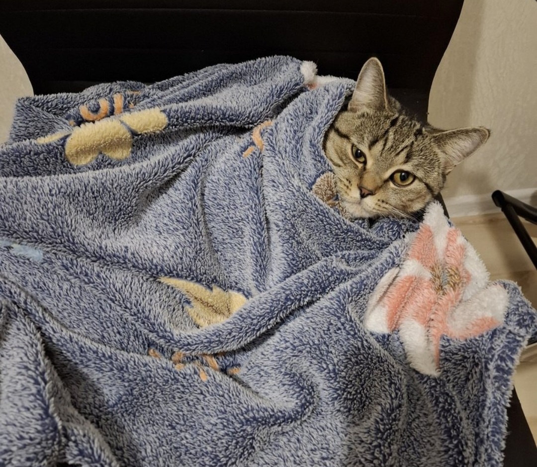 Царь отдыхает