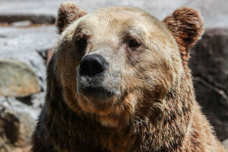    Сергей Булкин/NEWS.ru