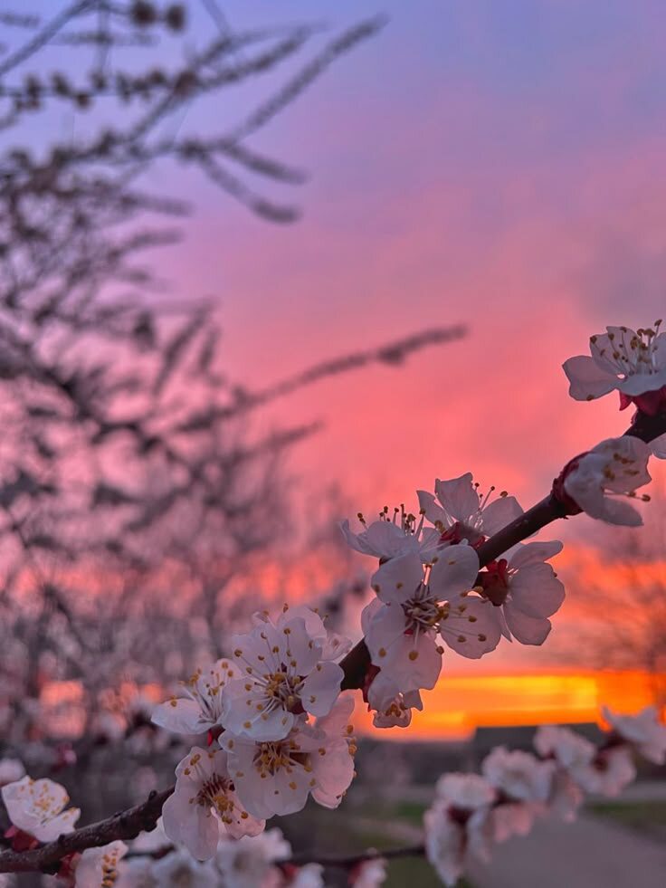 #любовь #романтика #май #студенты #сессия