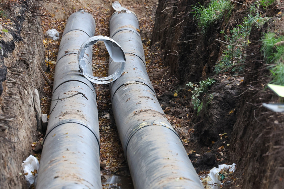    Алексей Белкин/NEWS.ru