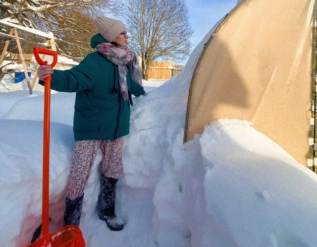Хроники фазенды: февраль