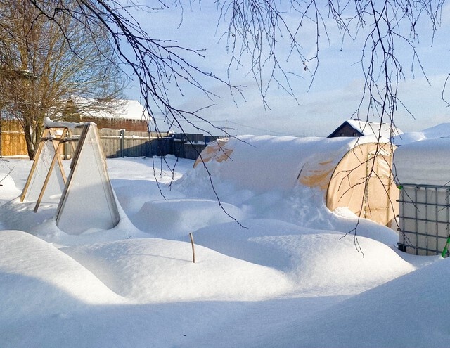 Хроники фазенды: февраль