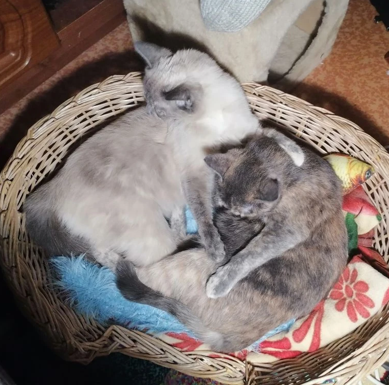 фото автора 