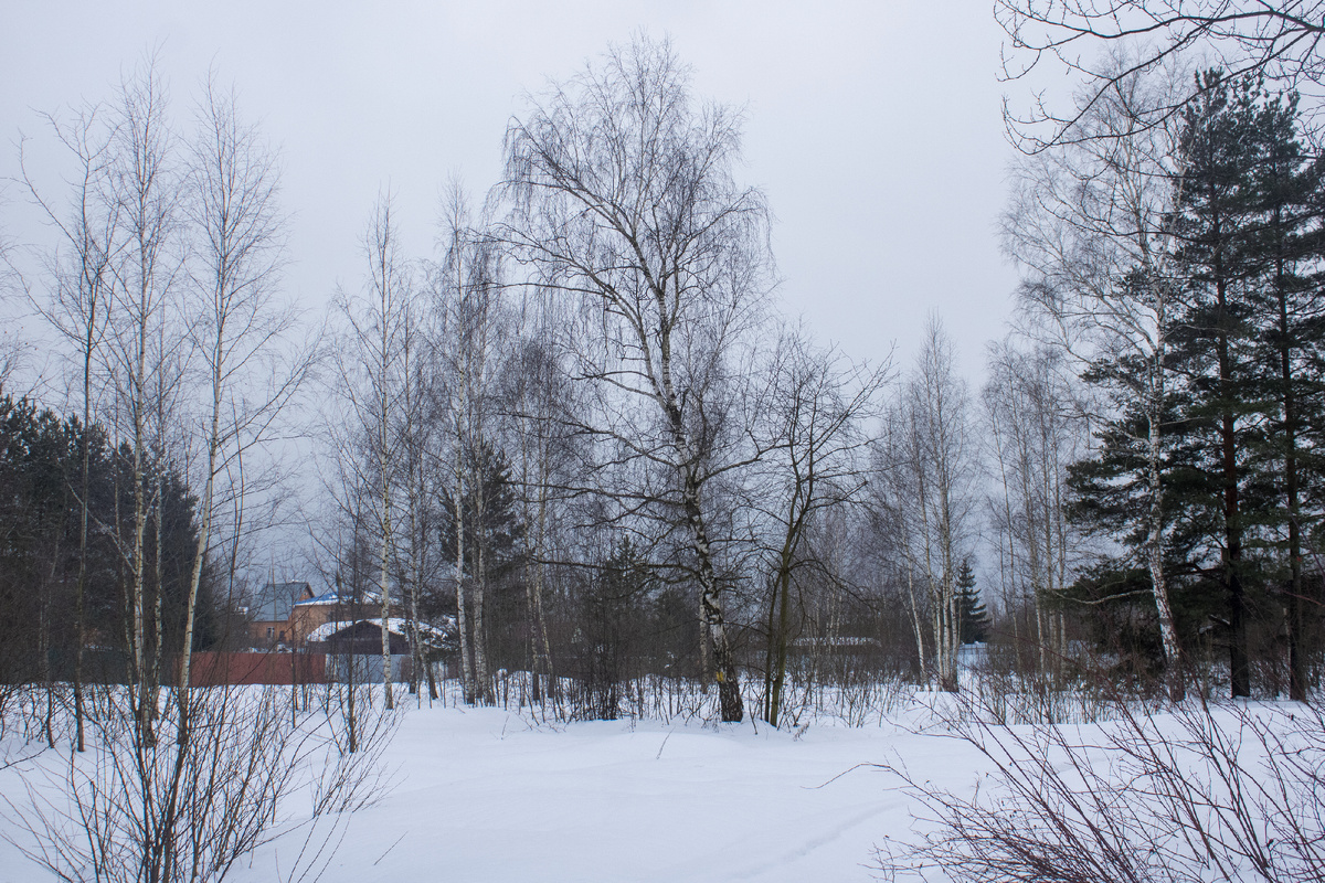 Пейзажик из деревни Есино