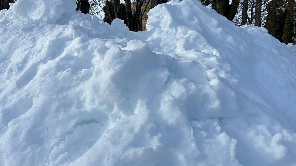    Фото: телеканал «Краснодар»