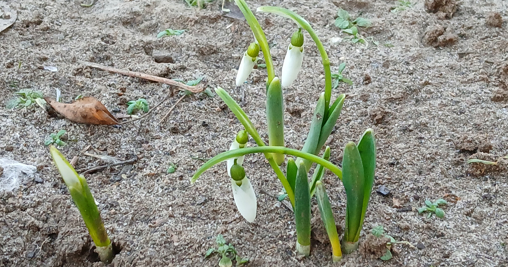 Первый день весны