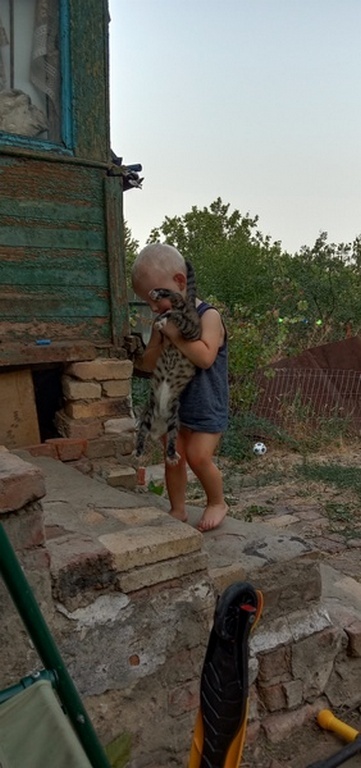 пойдем домой, нагулялись