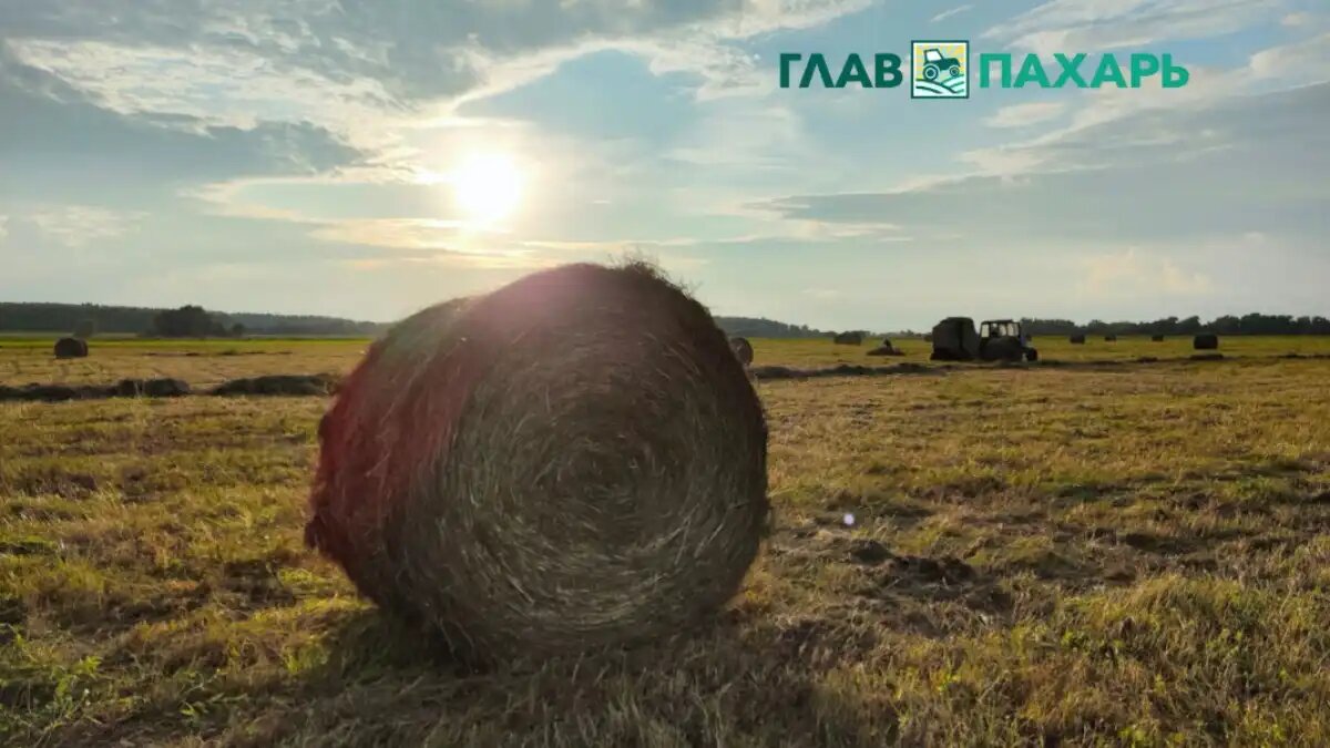 Фото: © Артем Борисов / Glavpahar.ru
Рулон в поле (фотография носит иллюстративный характер)