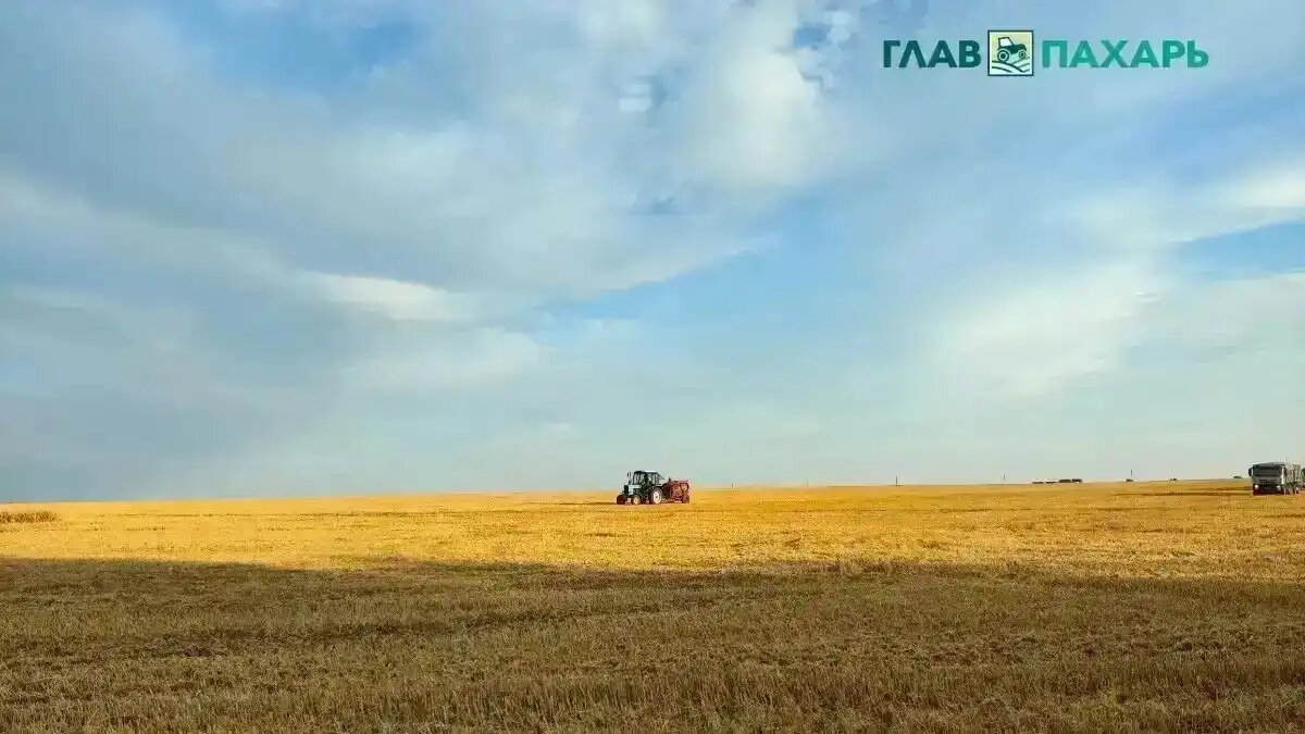 Фото: © Артем Борисов / Glavpahar.ru
Фотография носит иллюстративный характер