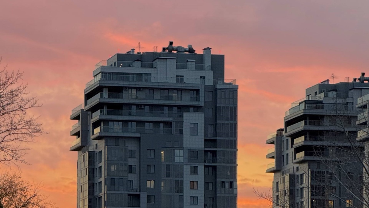    Анна Сальникова