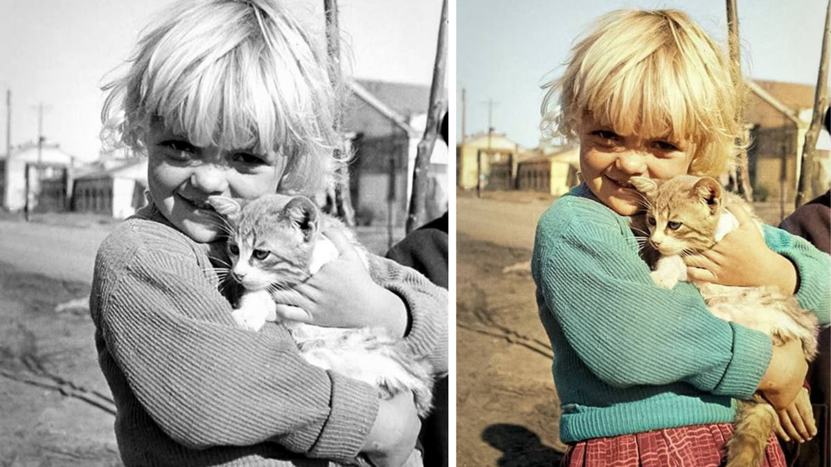 Московская область, Дата: июль, 1941 года. Фотограф: Павел Трошкин (фотоколлаж До и После раскрашивания).