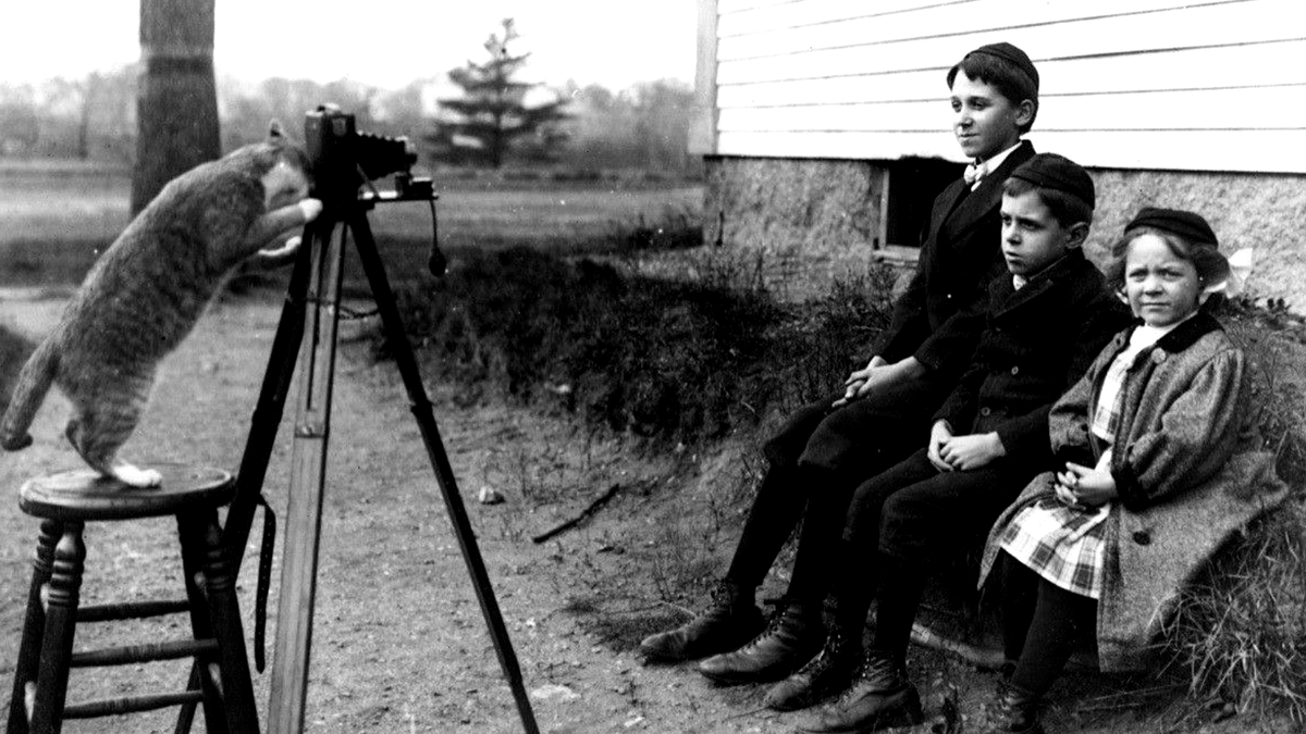 Это фото, сделано в 1909 году в пригороде Бостона. Отец семейства Джозеф Пайро захотел запечатлеть на снимке своего домашнего любимца, но не просто на руках, а именно таким, какой он есть - любопытным и забавным. Как думаете - у него получилось?