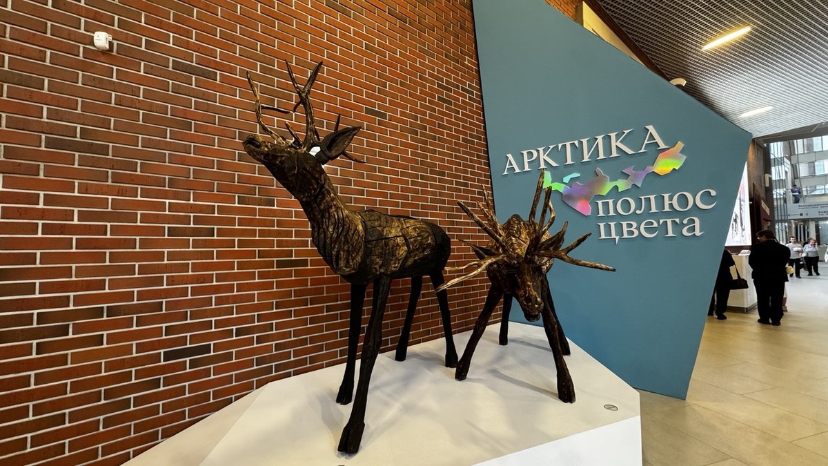 Выставка "Арктика. Полюс цвета" в новом здании Третьяковки на Кадашевской набережной