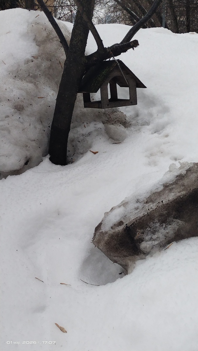 1. Кормушка еле пережила зиму. Завалена снегом. Сугробы выше человеческого роста 