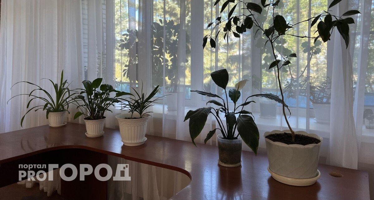    Из архива "Про Город"