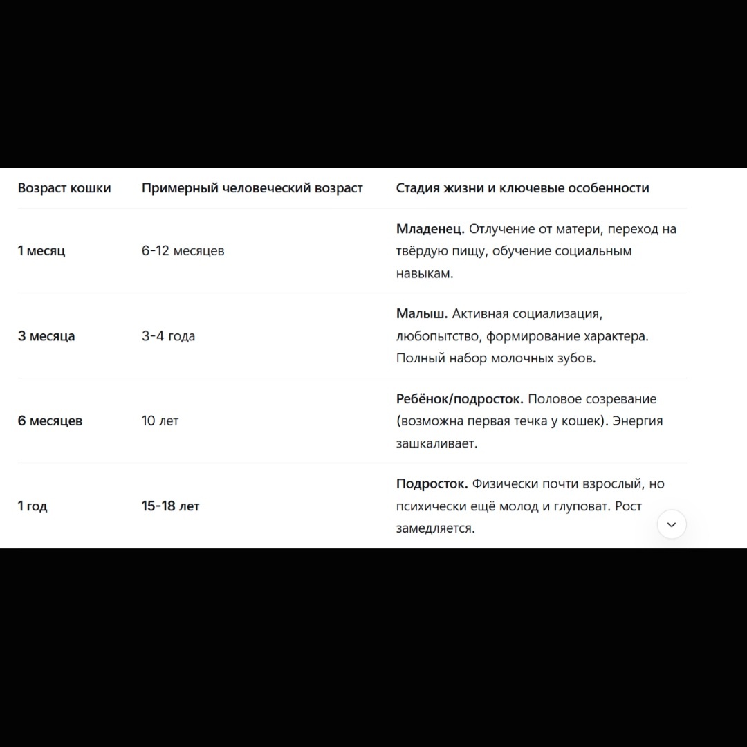 Из сети интернет