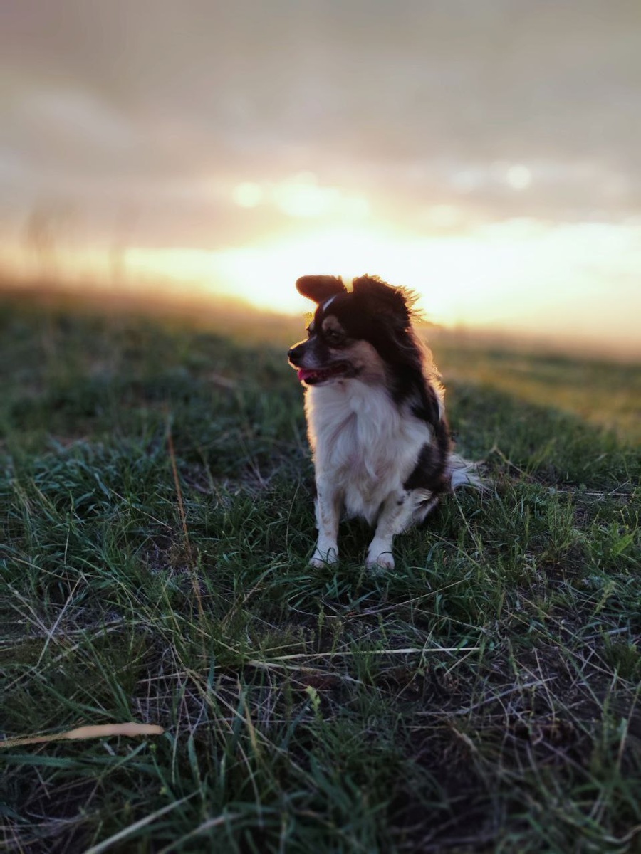 Наш Мистер Дарси