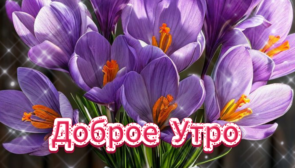 Открытки с поздравлениями