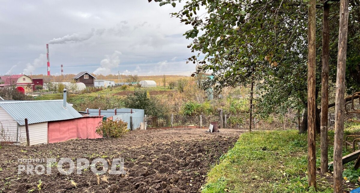    Из архива "Про Город"