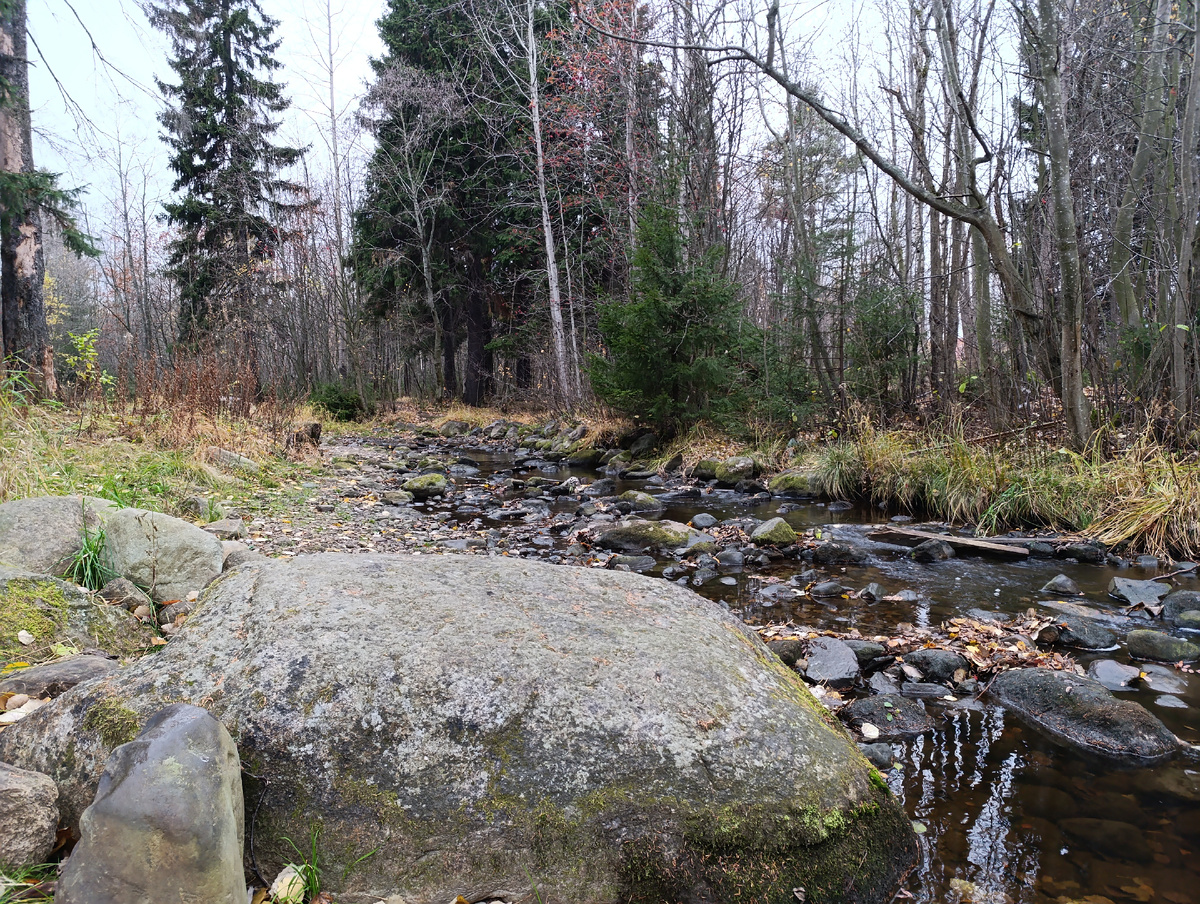 Парк «Зелёный берег»