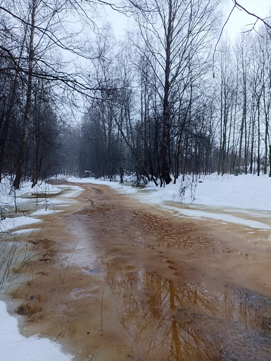 Вот  уже вода появилась на поврхности Старожиловки. На улице в тот день был густой туман 